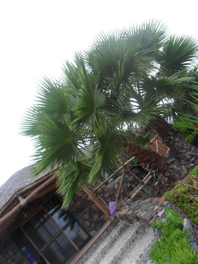 Casa De France - Chambres d’hôtes Porto Novo