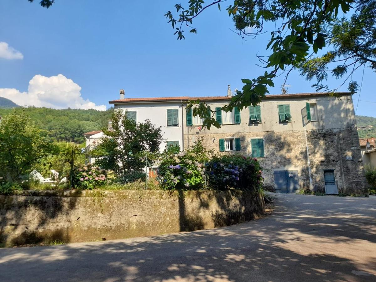 B&B Alle Ortensie Blu - Ferienwohnung
