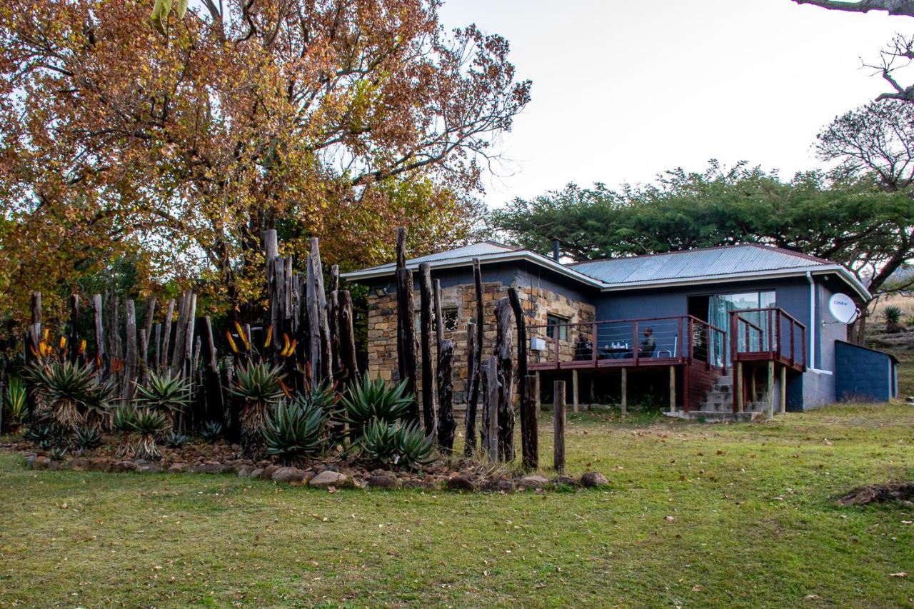 Rorkes Drift Lodge - Chambres d’hôtes