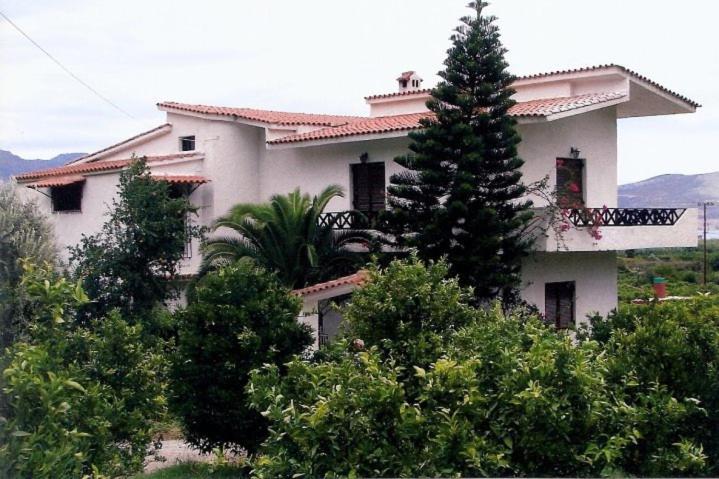 B&B Kalloni - Lemon tree house - Bed and Breakfast Kalloni