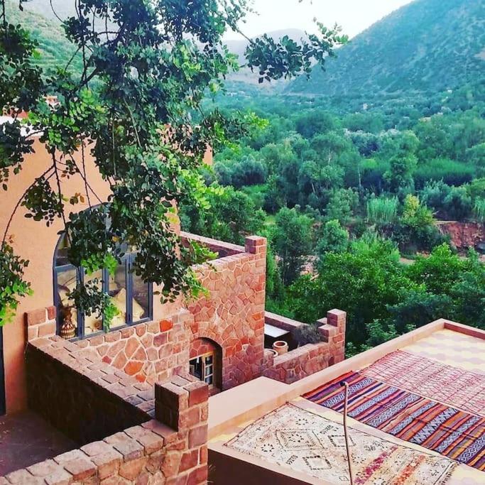 Boutique Guesthouse Dar Zohra - Bed and Breakfast