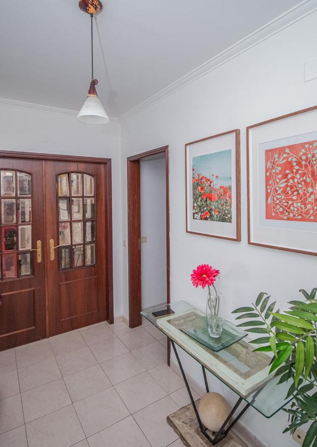 Charming Private Rooms in an Apartment A2 Penha - Faro - B&B Faro