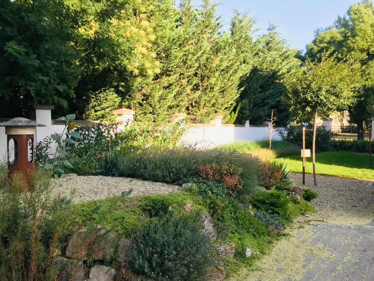 Elizabeth Garden Premium Apartment - Bed and Breakfast Kecskemét