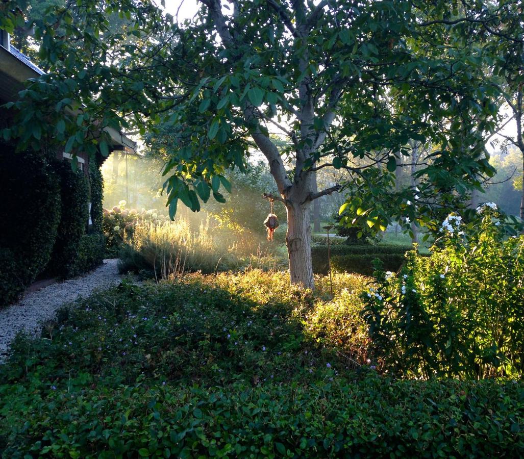 De Spaanse Ruiter - B&B