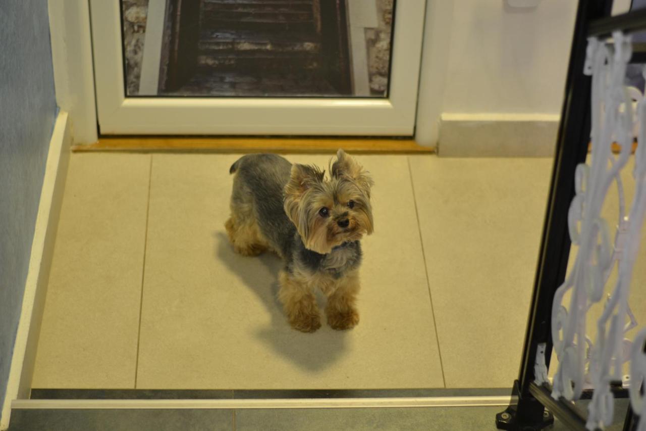 Dreibettzimmer mit Balkon