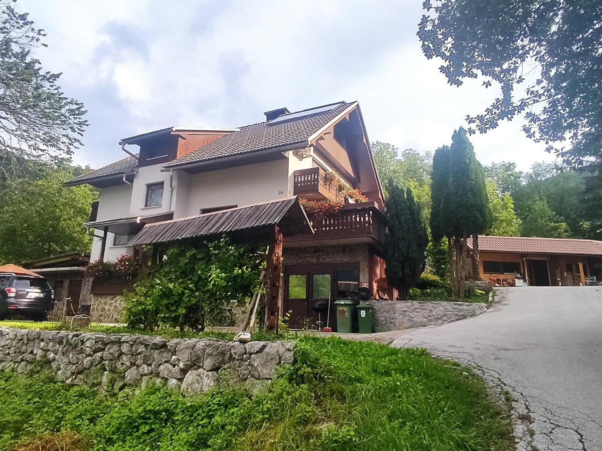 B&B Bohinjska Bela - Fantastic Apartment Brglez - Bed and Breakfast Bohinjska Bela