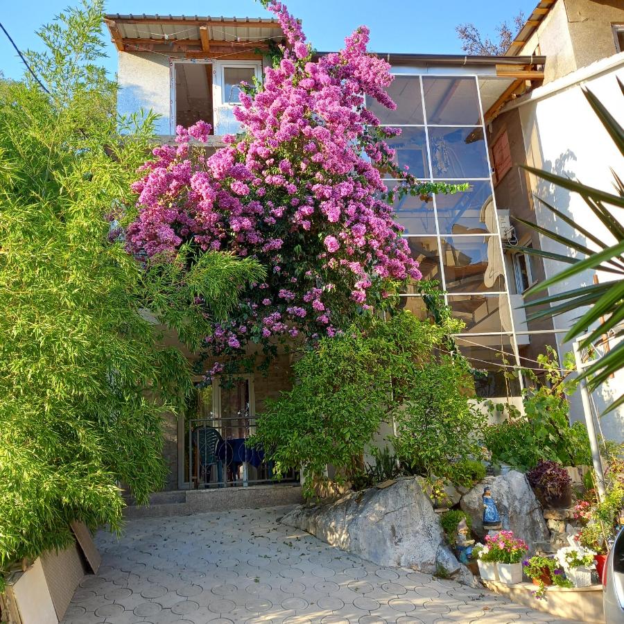 B&B Budva - Bugenvilija - Bed and Breakfast Budva