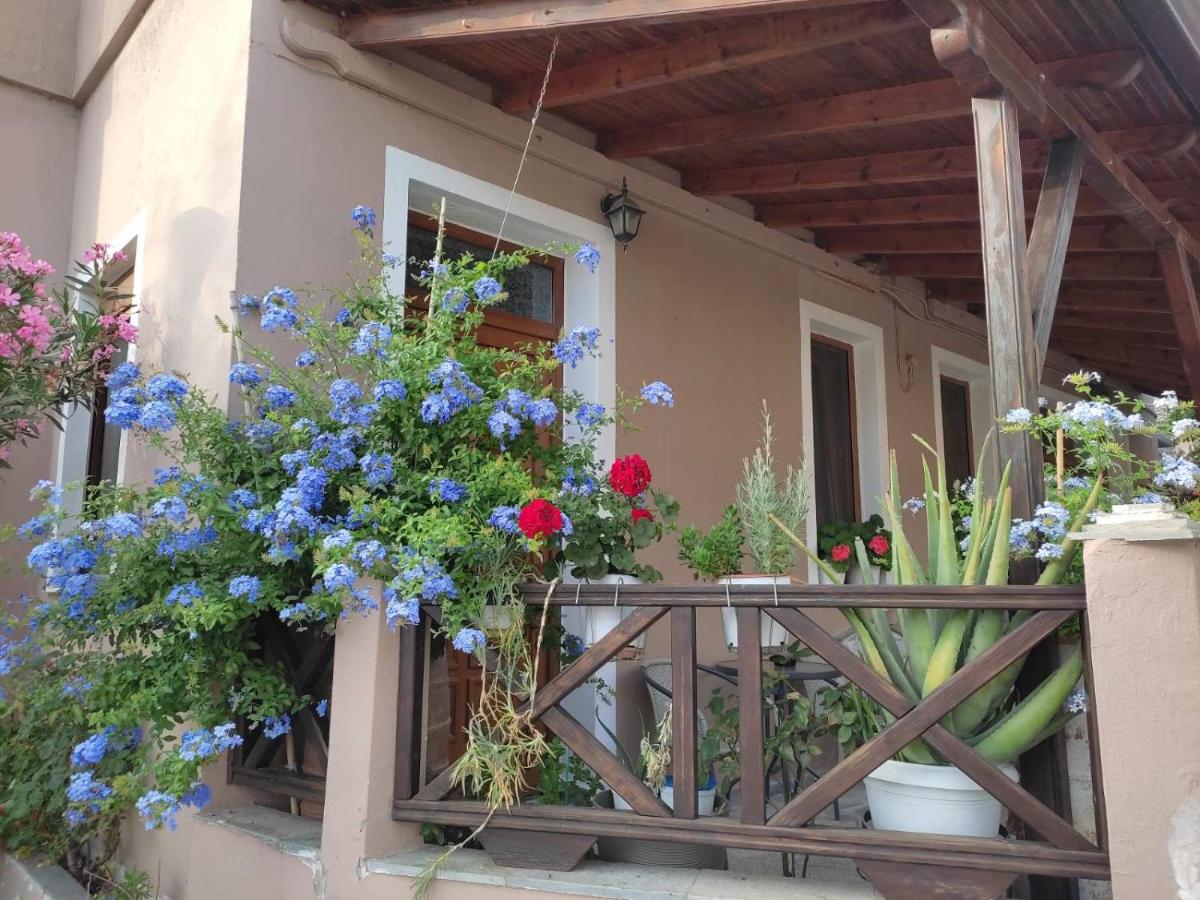 Plumbago Apartment - B&B