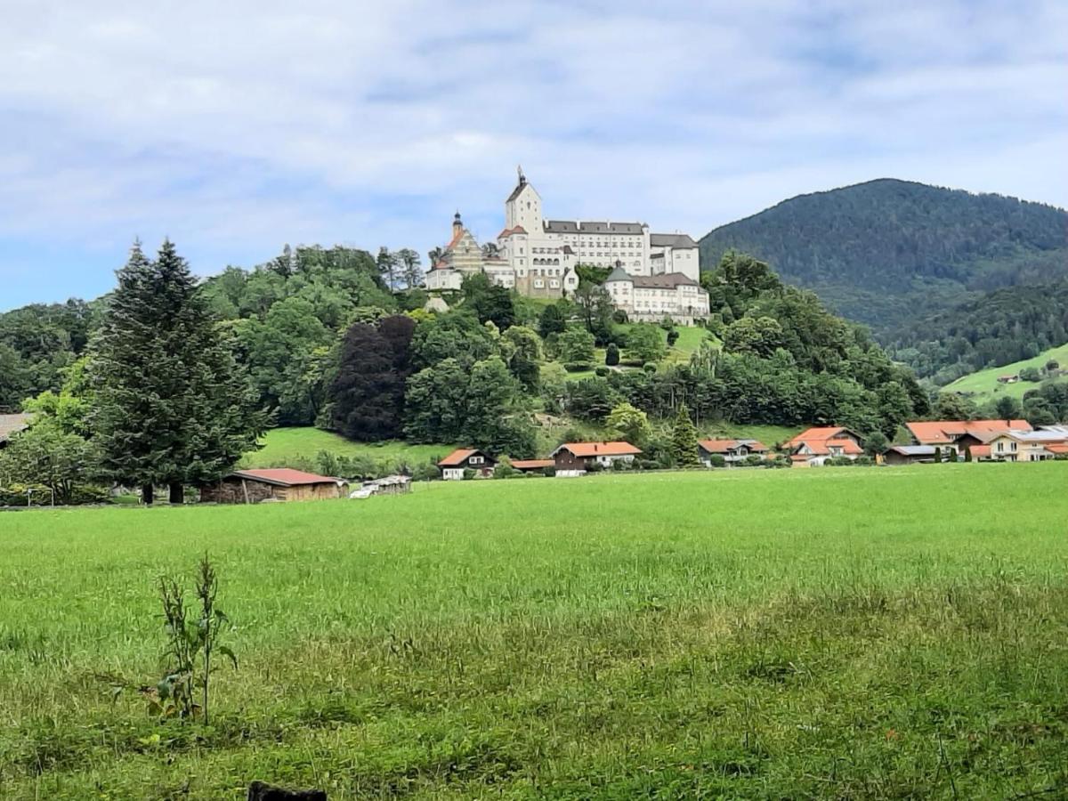 Ferienhaus Kaiserblick - FEWO1 - Bed and Breakfast
