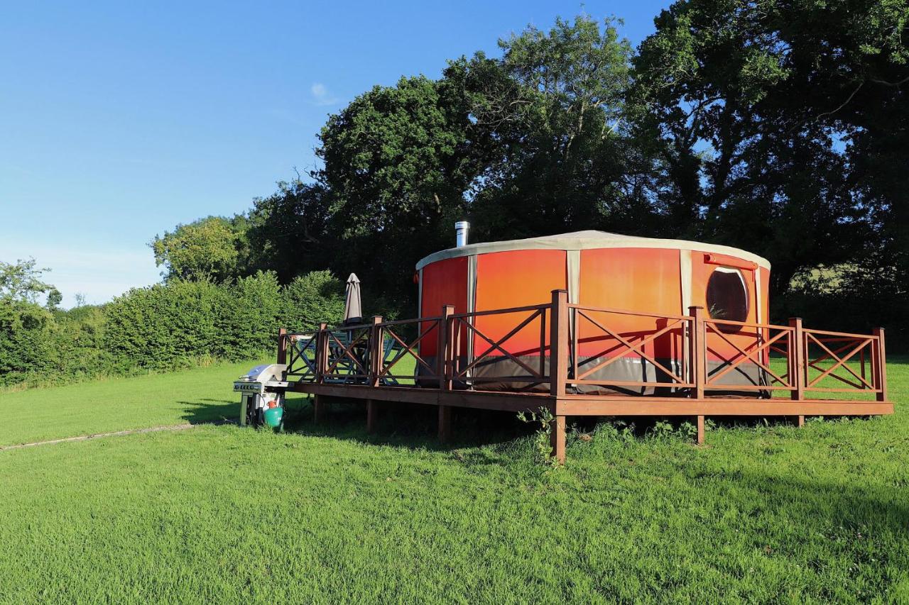B&B South Brent - Allercombe Farm Glamping Yurts & Wild Camping - Bed and Breakfast South Brent