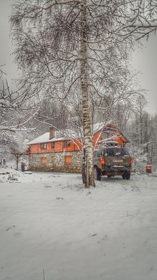 Vila Lapušnja - najam cele vikendice - Bed and Breakfast Krivi Vir