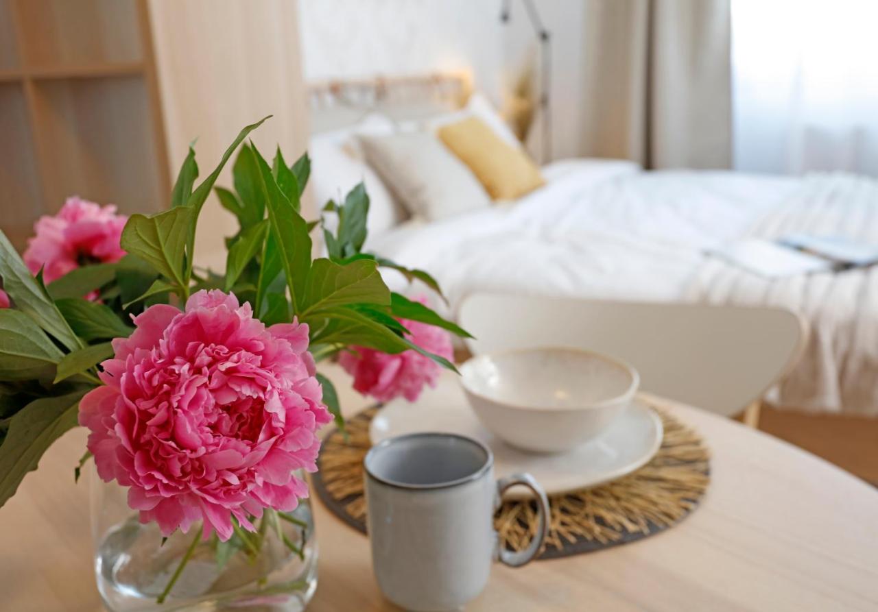 New & cozy studio in Ghencea + Netflix - B&B