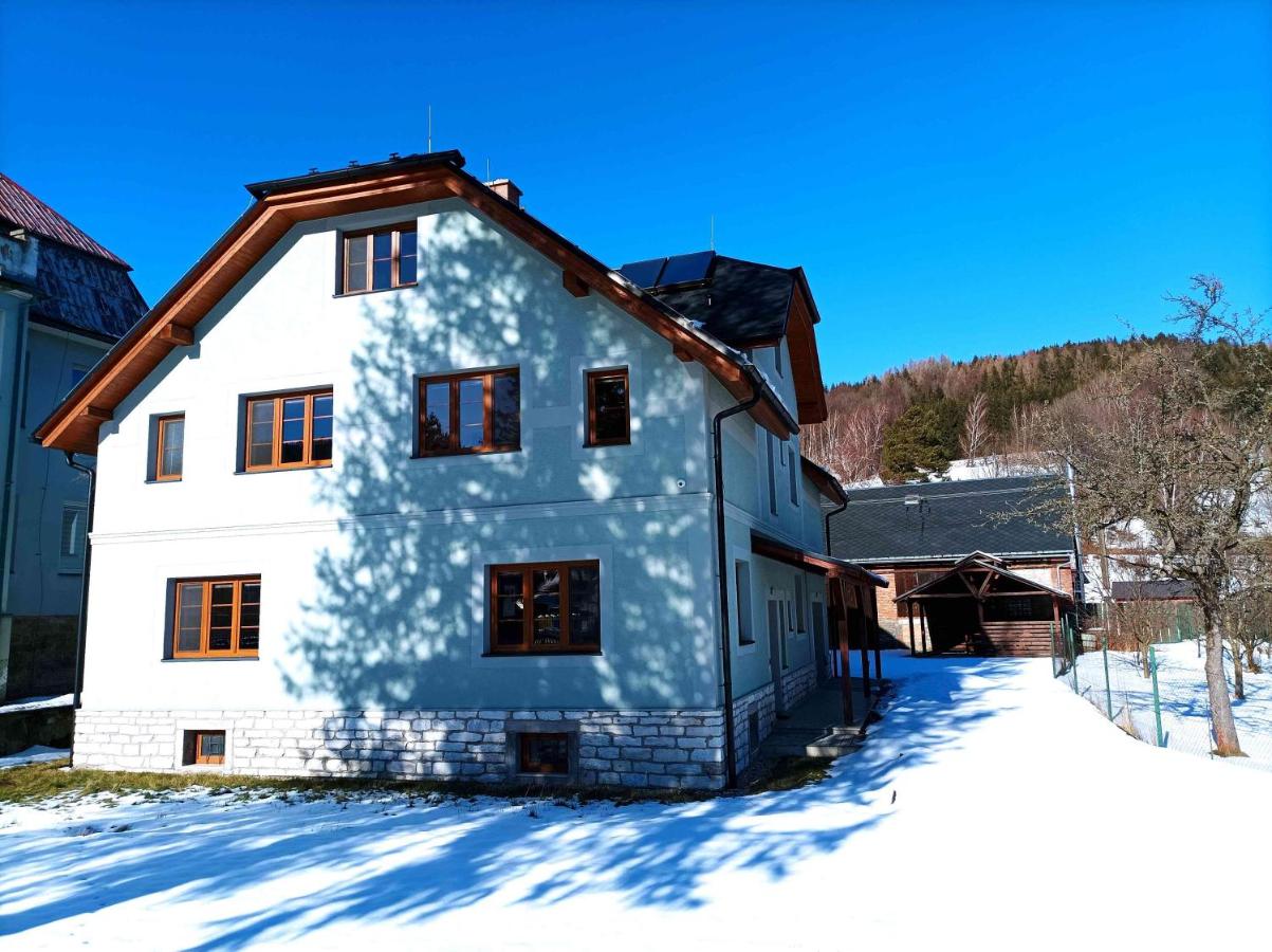 Apartmánový dům Michael - B&B Lipová-lázně