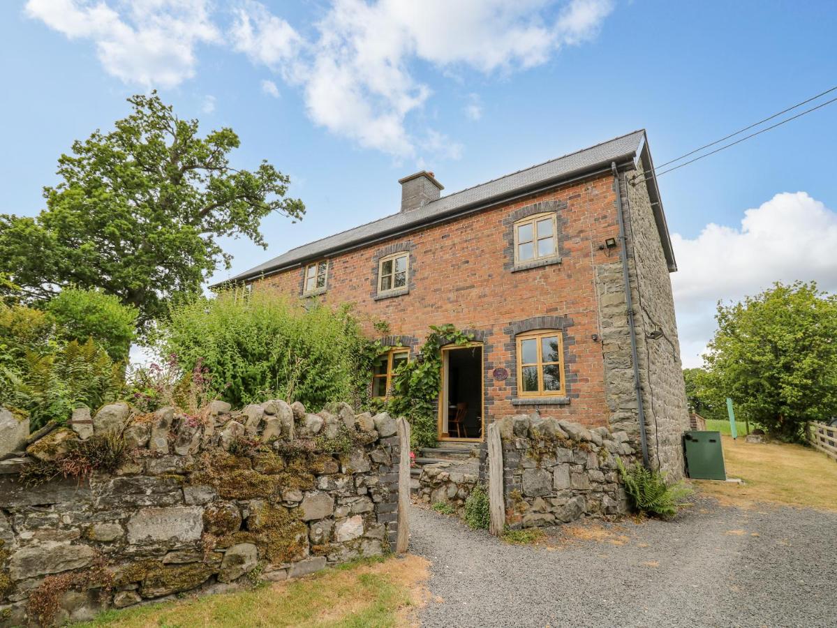 B&B Llanwrthwl - Byrdir Cottage - Bed and Breakfast Llanwrthwl