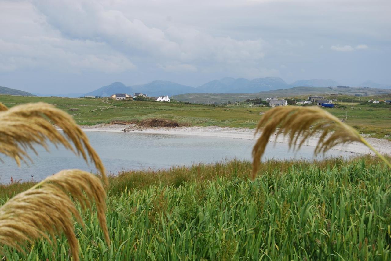 The Ocean Wave Bed & Breakfast - B&B Cleggan