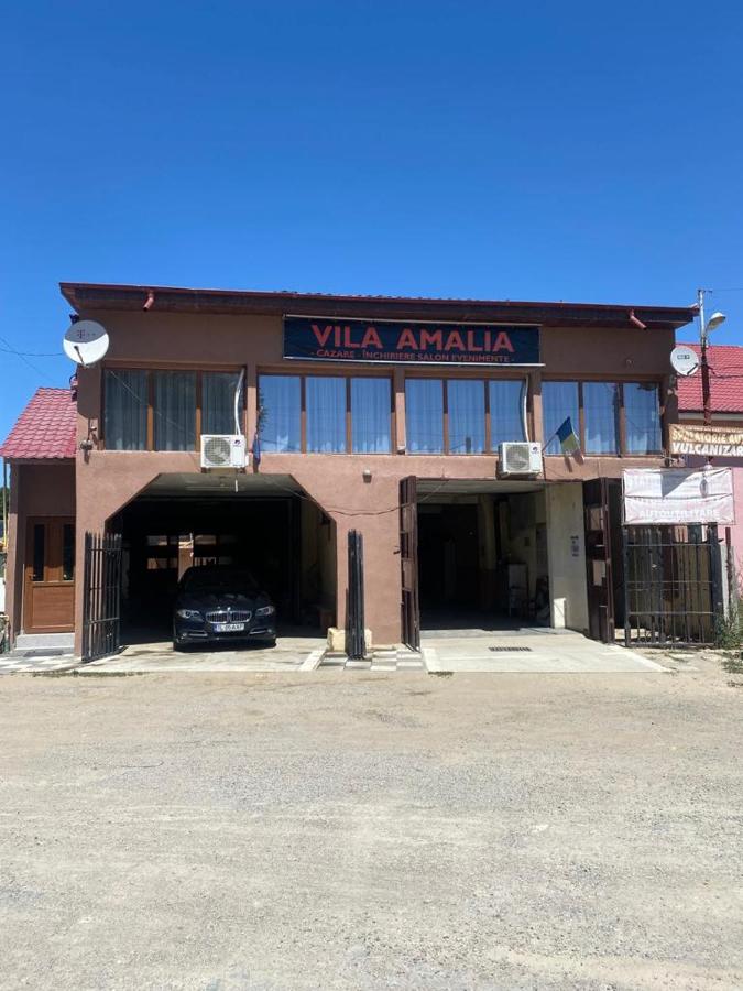 Vila Amalia Munții Macinului - B&B