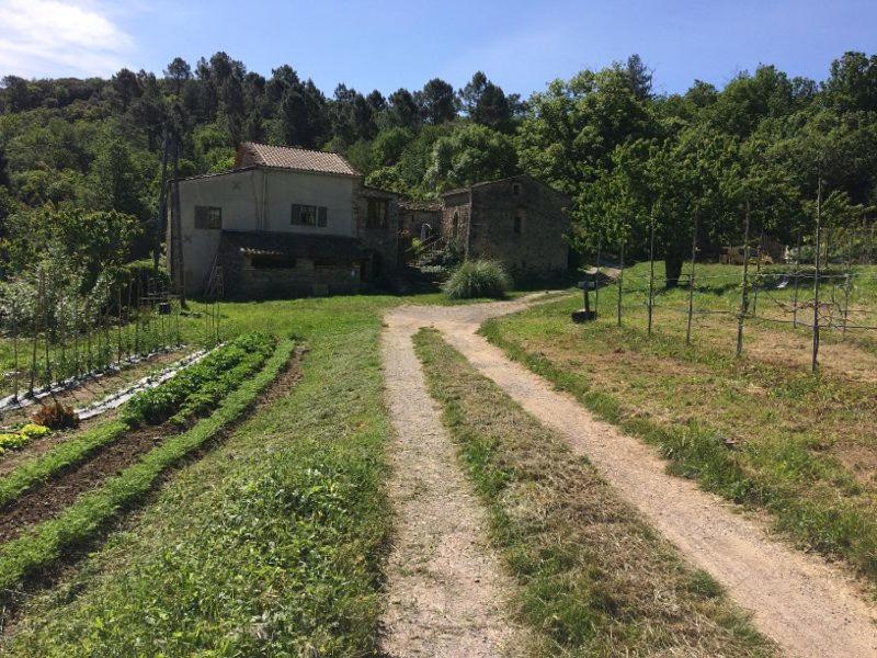 Deux chambres d hôtes attenantes avec salon salle à manger privatif en Cévennes Gardoises - B&B