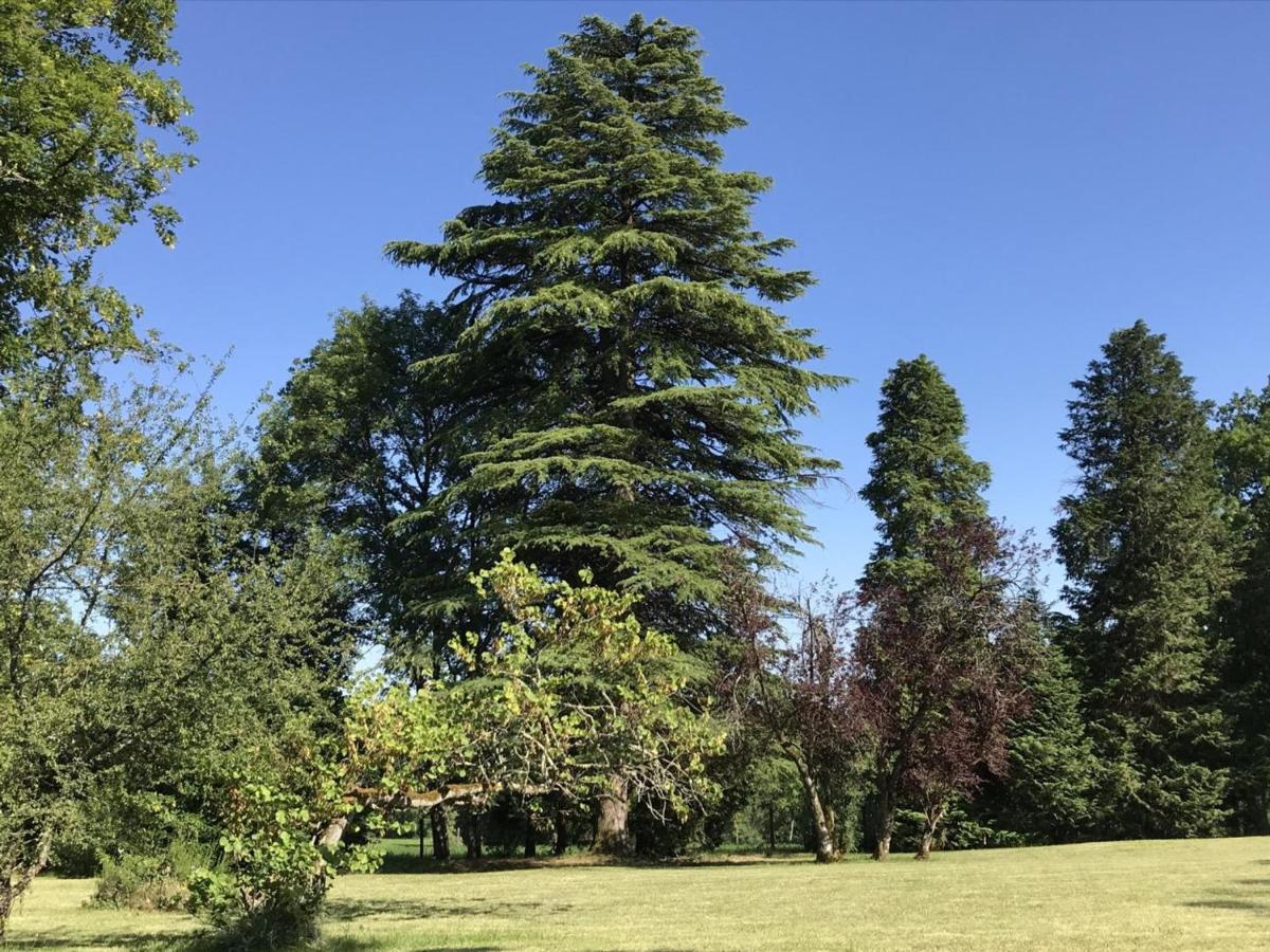 Holiday Home (8 Adults)