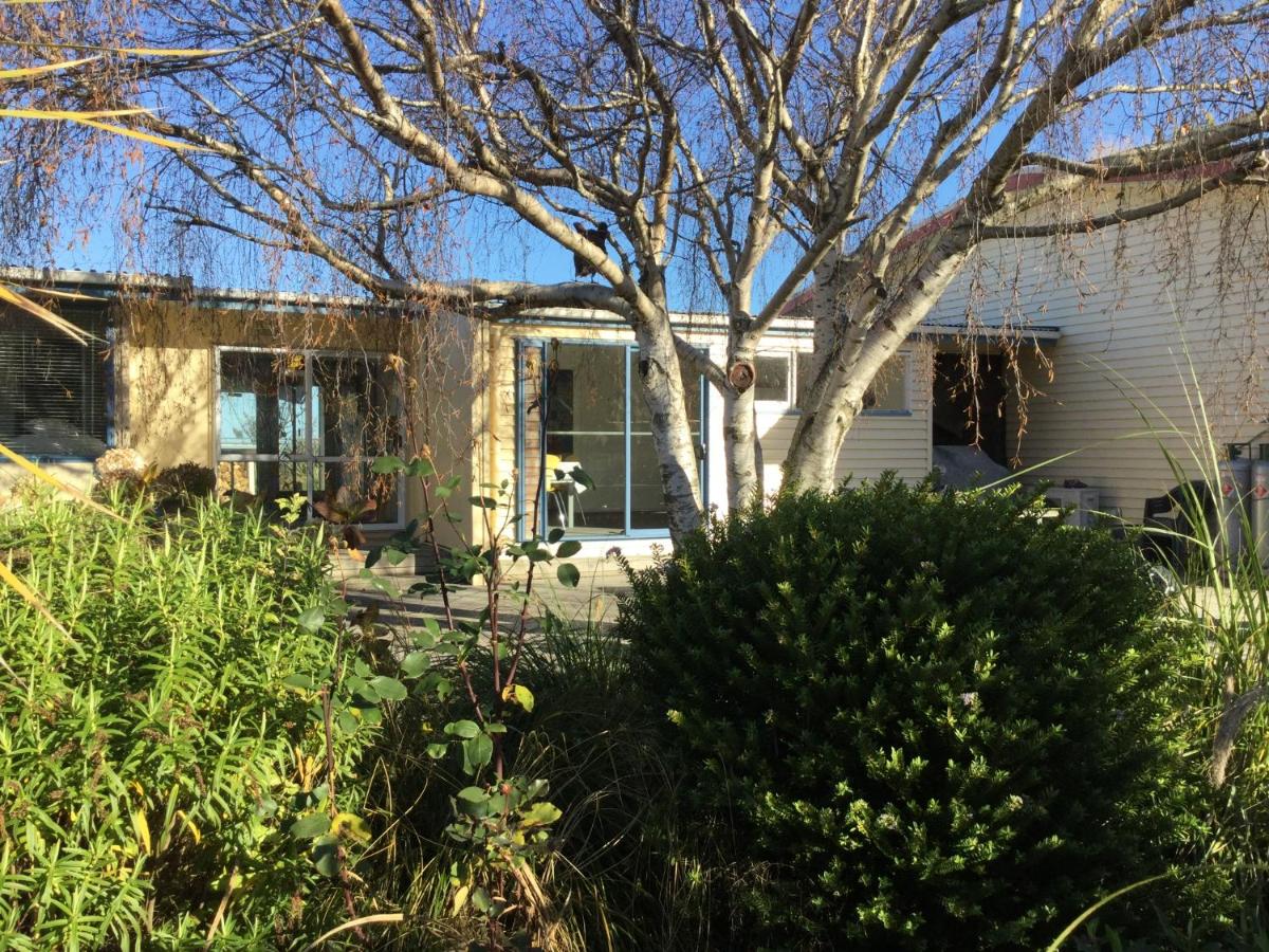 Stay in School by the Sea - B&B Dunedin