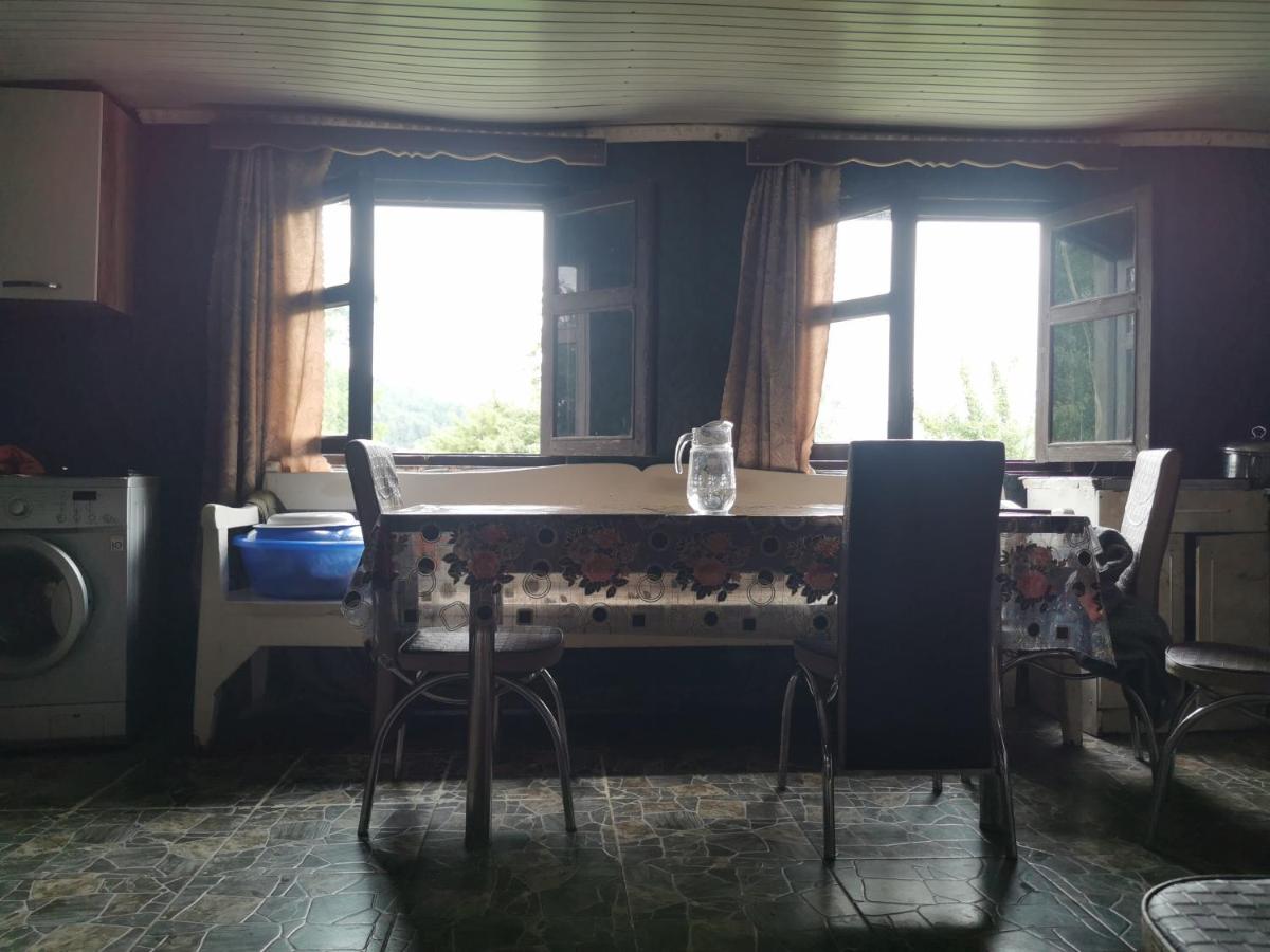 Guest House Eceri - Ferienwohnung Mestia