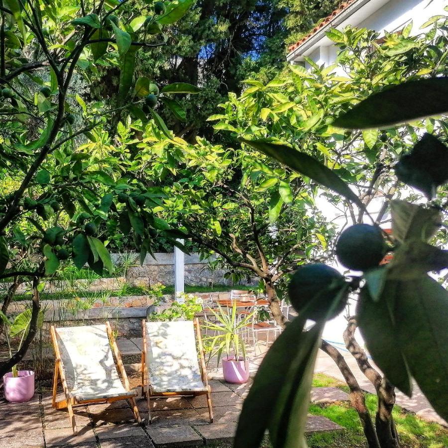 guest house BULJARICA - B&B