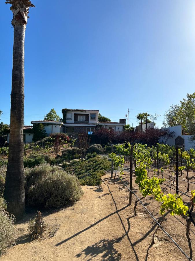 Casa Marieta Espacio Entero - B&B Las Palmas