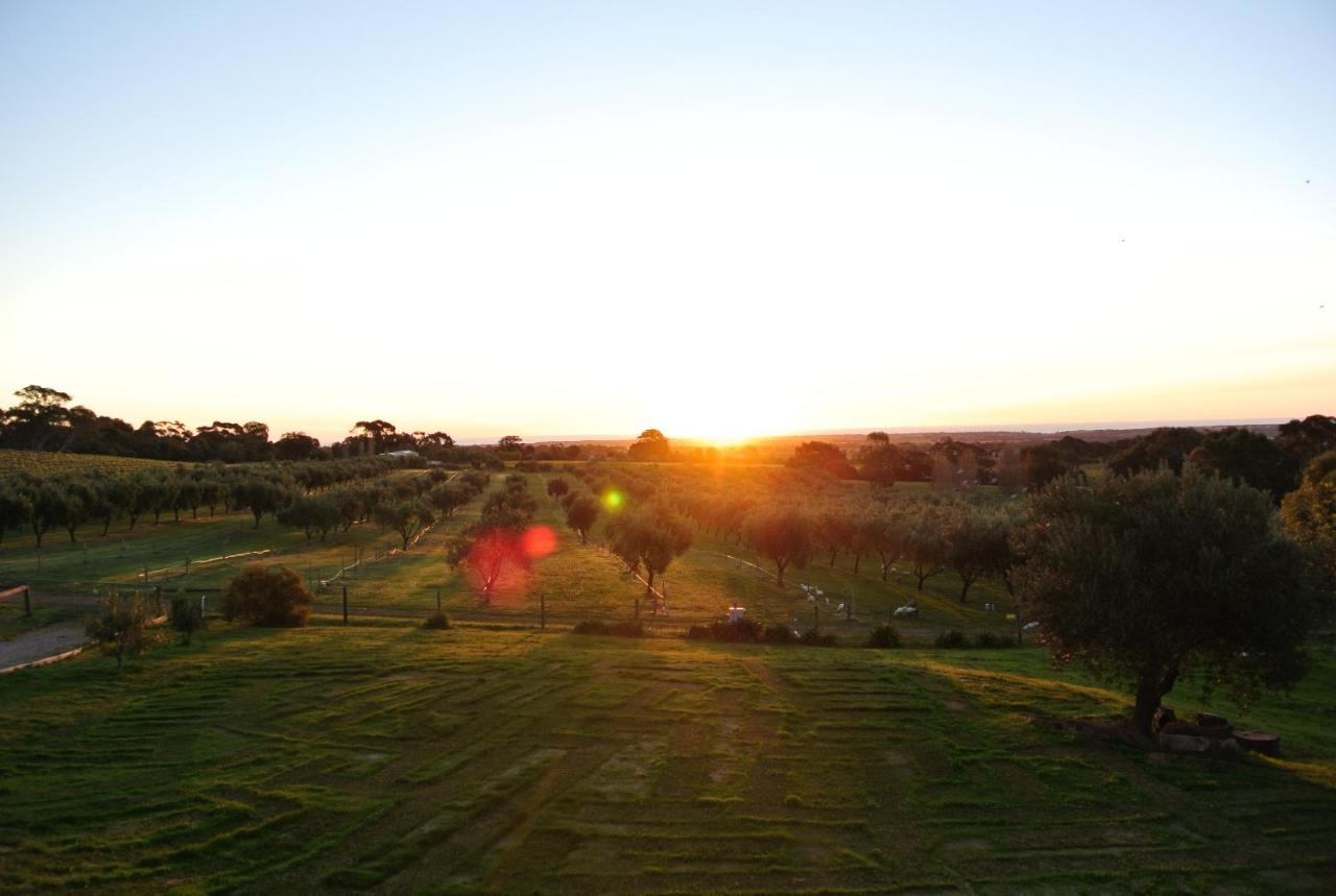 The Farm Willunga - B&B Willunga