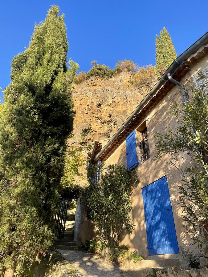 Le jardin de Camille - Bed and Breakfast