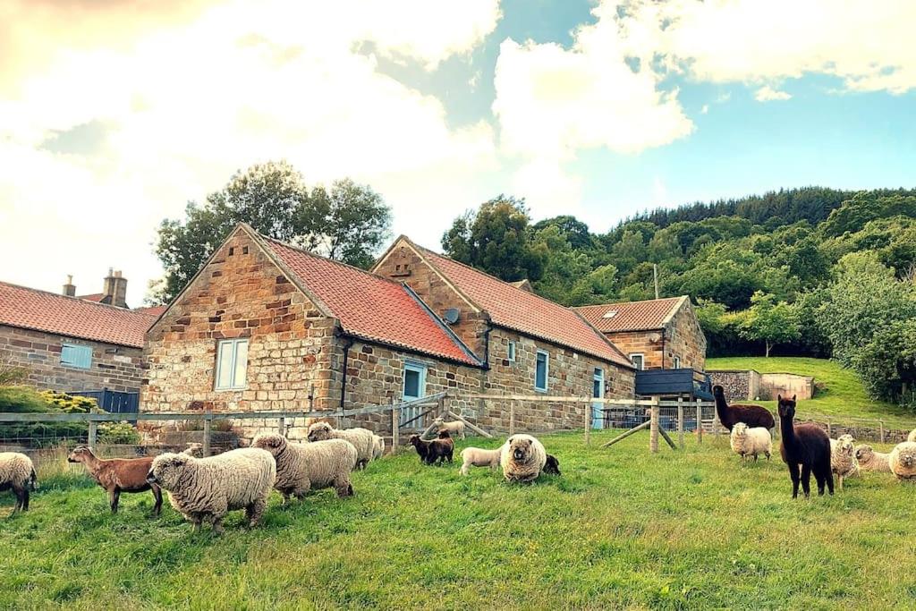 B&B Aislaby - Luddie's Country Cottages - Rose Cottage - Bed and Breakfast Aislaby