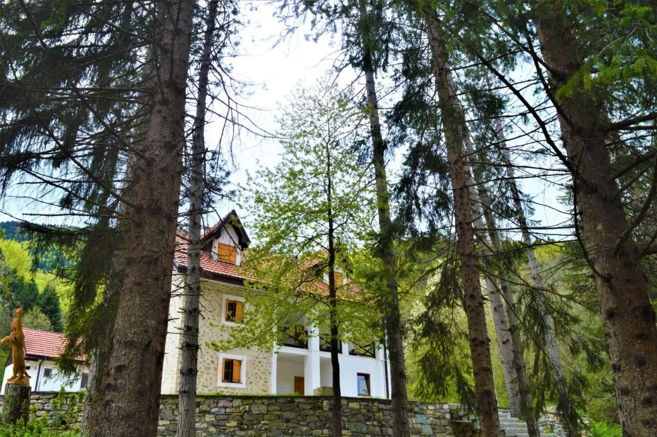 B&B Trnica - Mountain house Korab Trnica - Bed and Breakfast Trnica