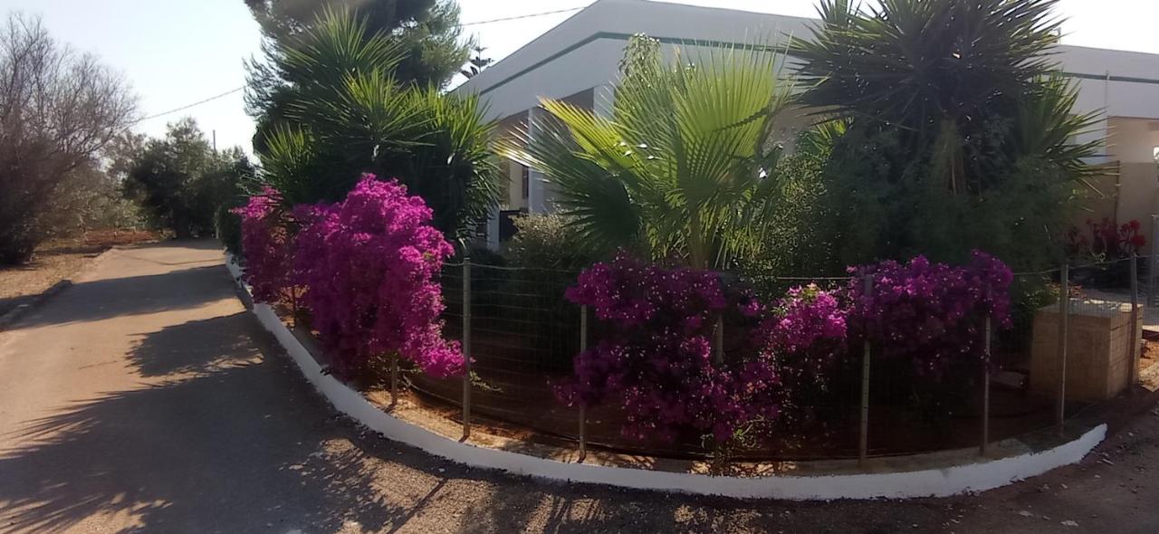 L'Oasi - B&B Capilungo