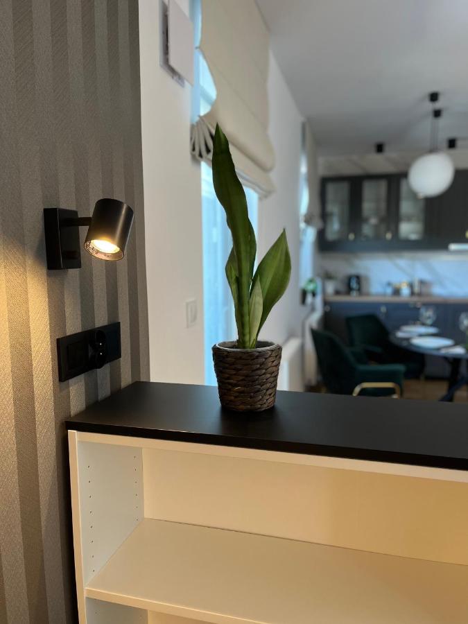 Suite Apartment