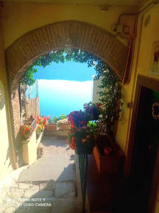 B&B Castel Gandolfo - Giardino sul Lago con vasca Idromassaggio Jacuzzi - Bed and Breakfast Castel Gandolfo