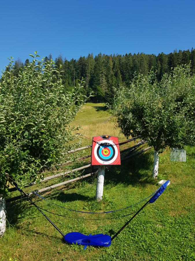 Pensiunea Daria Putna - Ferienwohnung Putna