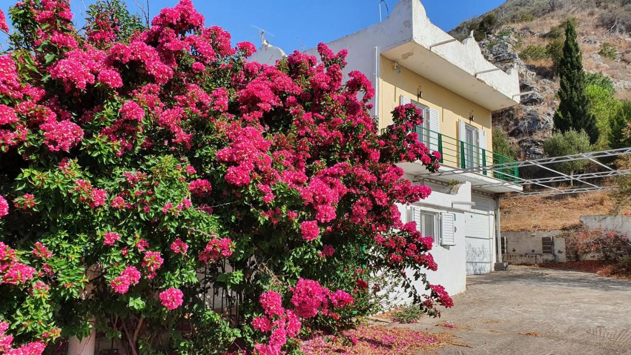 Villa Dunes 350m from the sandy beach - B&B Kalogria