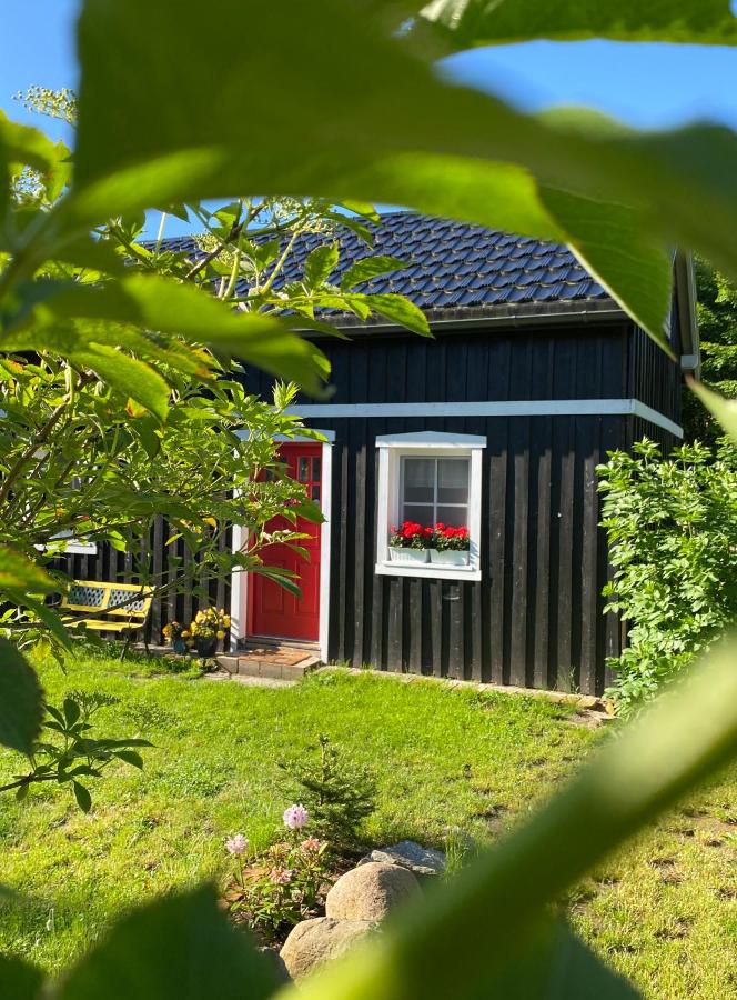 Domek TRZY BABY - B&B Dołgie