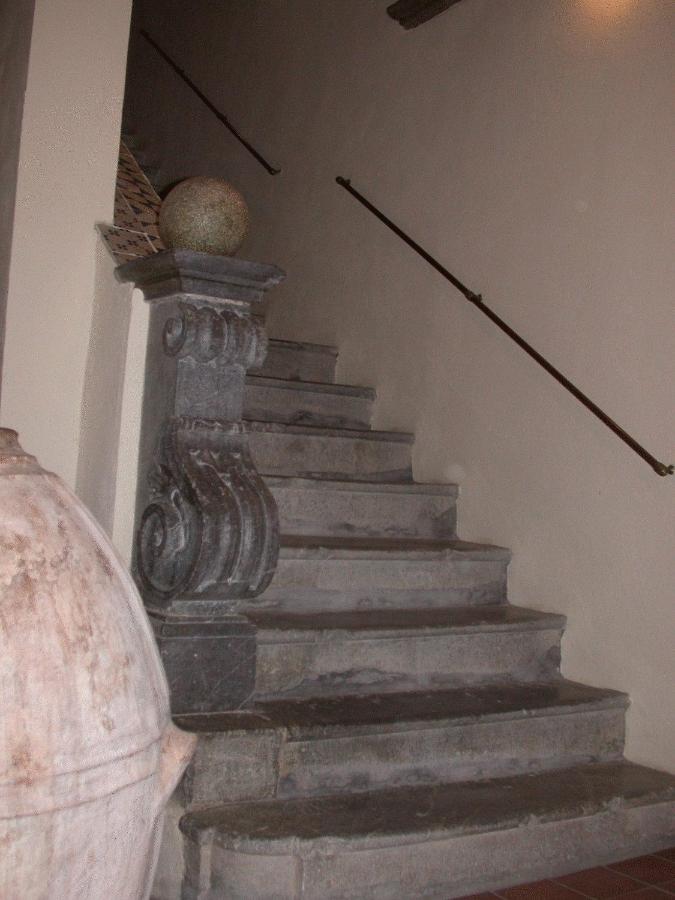 La Zizzania e il Mandarino - B&B Roccagloriosa