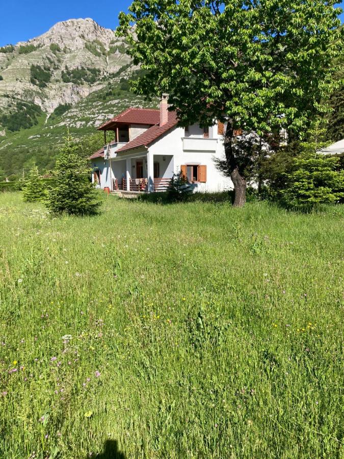 Paja Guesthouse - Camping - Chambres d’hôtes Bogë