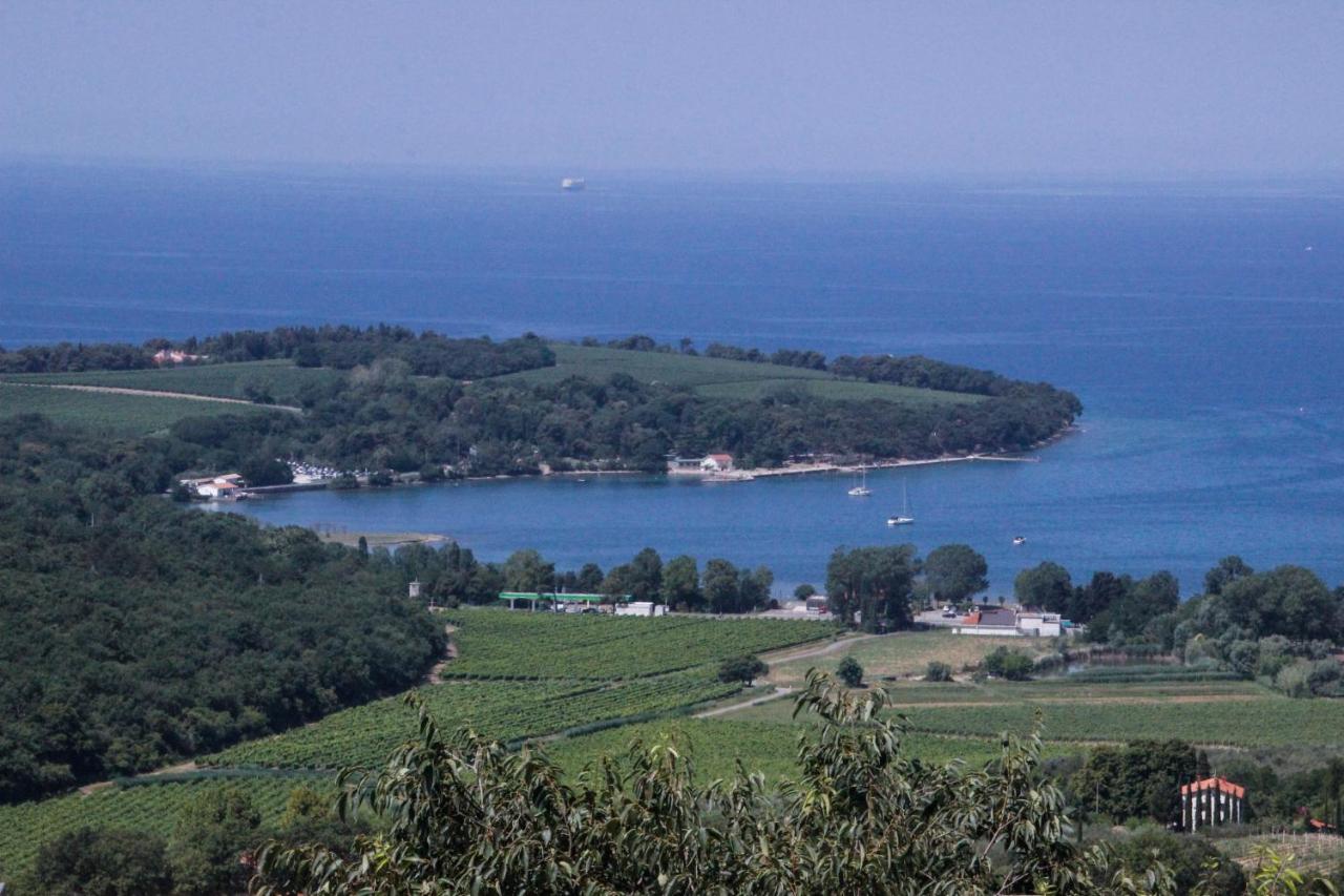 Agava sunset - B&B Ancarano