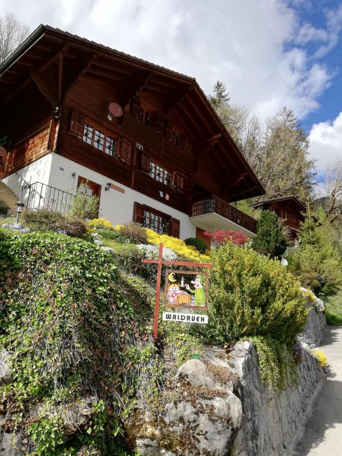Waldruhe - Ferienwohnung