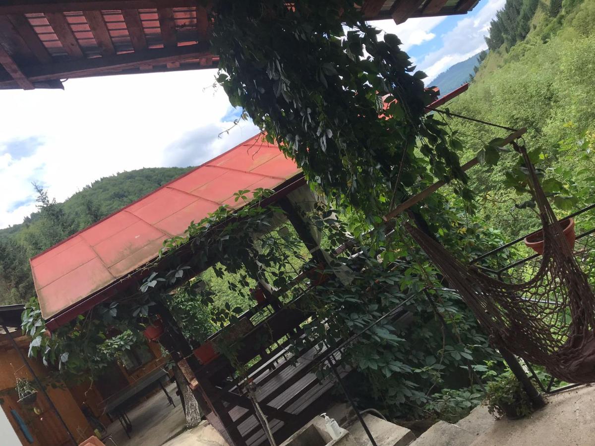 Casa Elena - B&B Voineșița