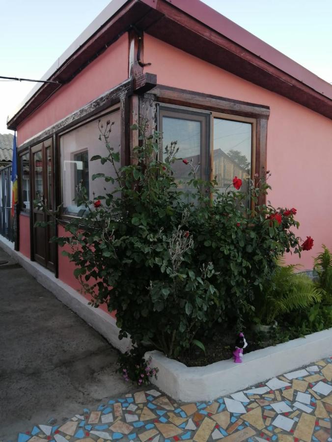 Casa Ancora Sulina - B&B