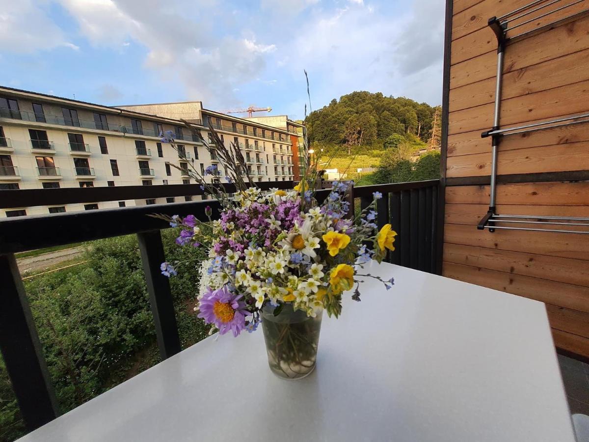 Perfect studio near Didveli ski area - B&B Bakuriani