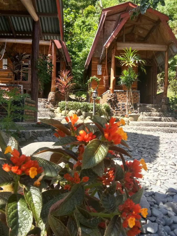 Lucky Bamboo'Bungalows-Resto and Orangutan Jungle Trekking Tours - Chambres d’hôtes