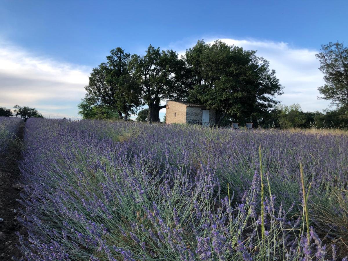 B&B Saignon - Cabanon du berger - Bed and Breakfast Saignon