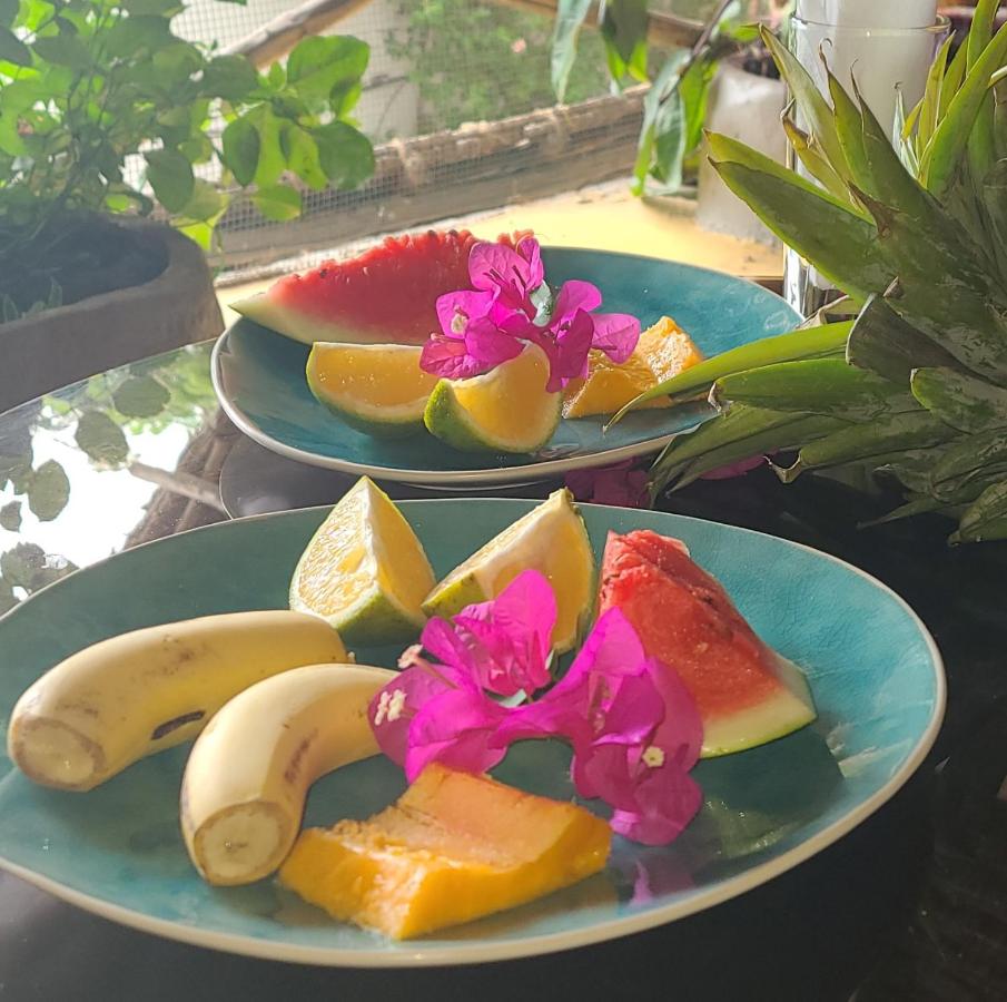 Mbaliparadise Guest Lodge UNGUJA - B&B Jambiani