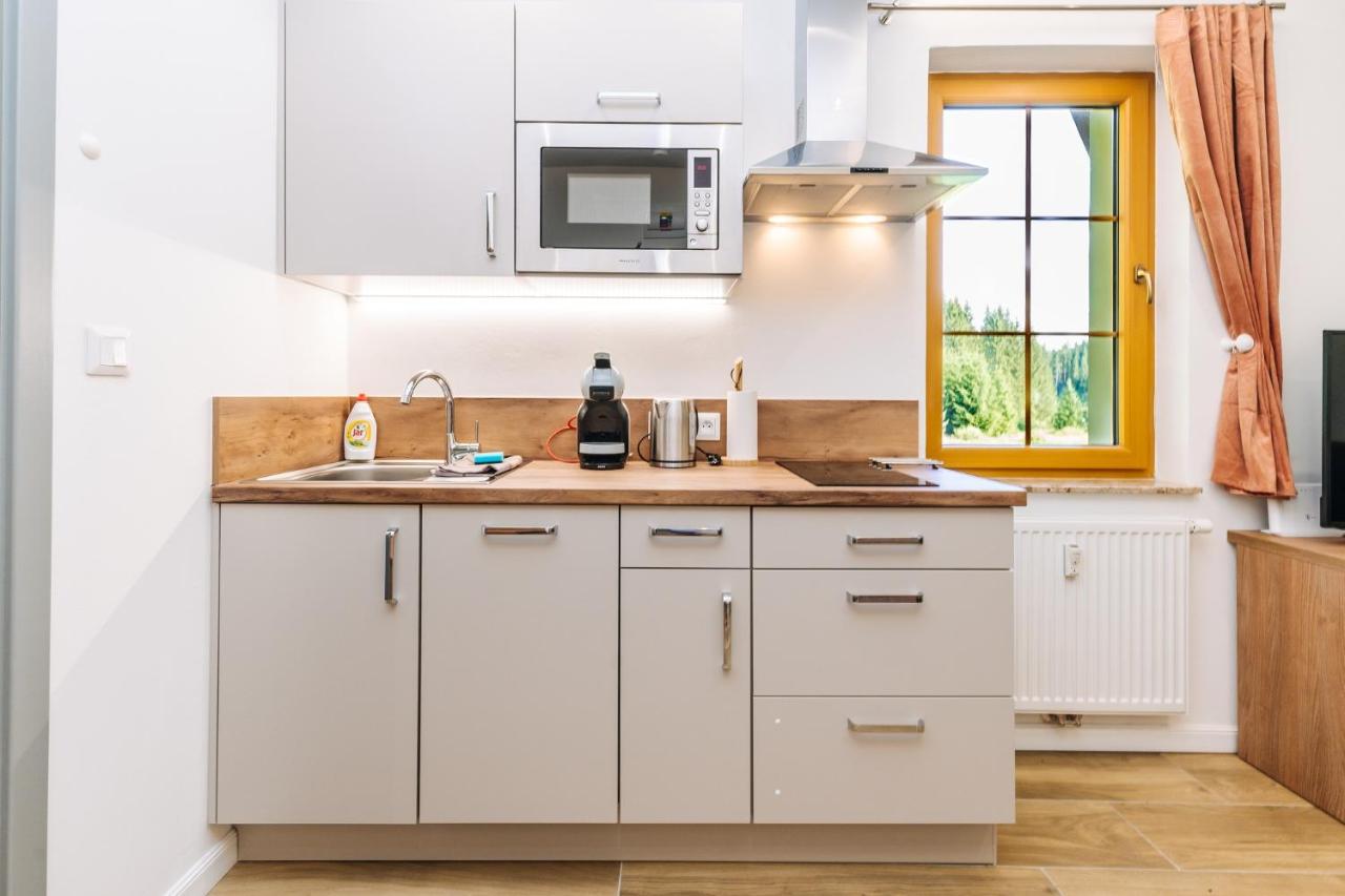 Apartmán Hugo Blatná - B&B Horní Blatná