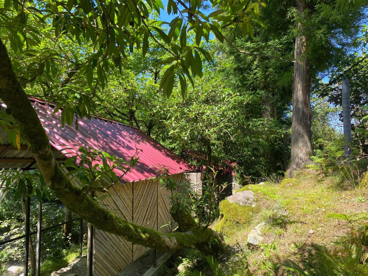 Venera's Guest House - B&B