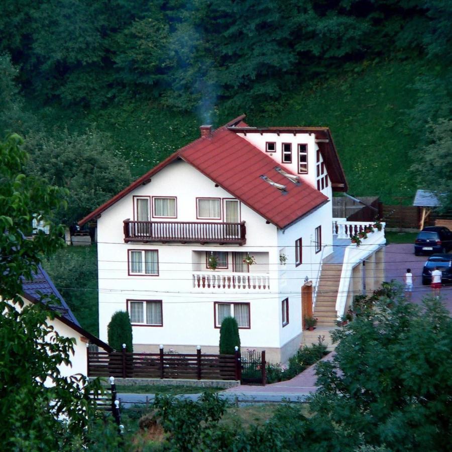 Pensiunea Ionela - B&B Moieciu de Jos