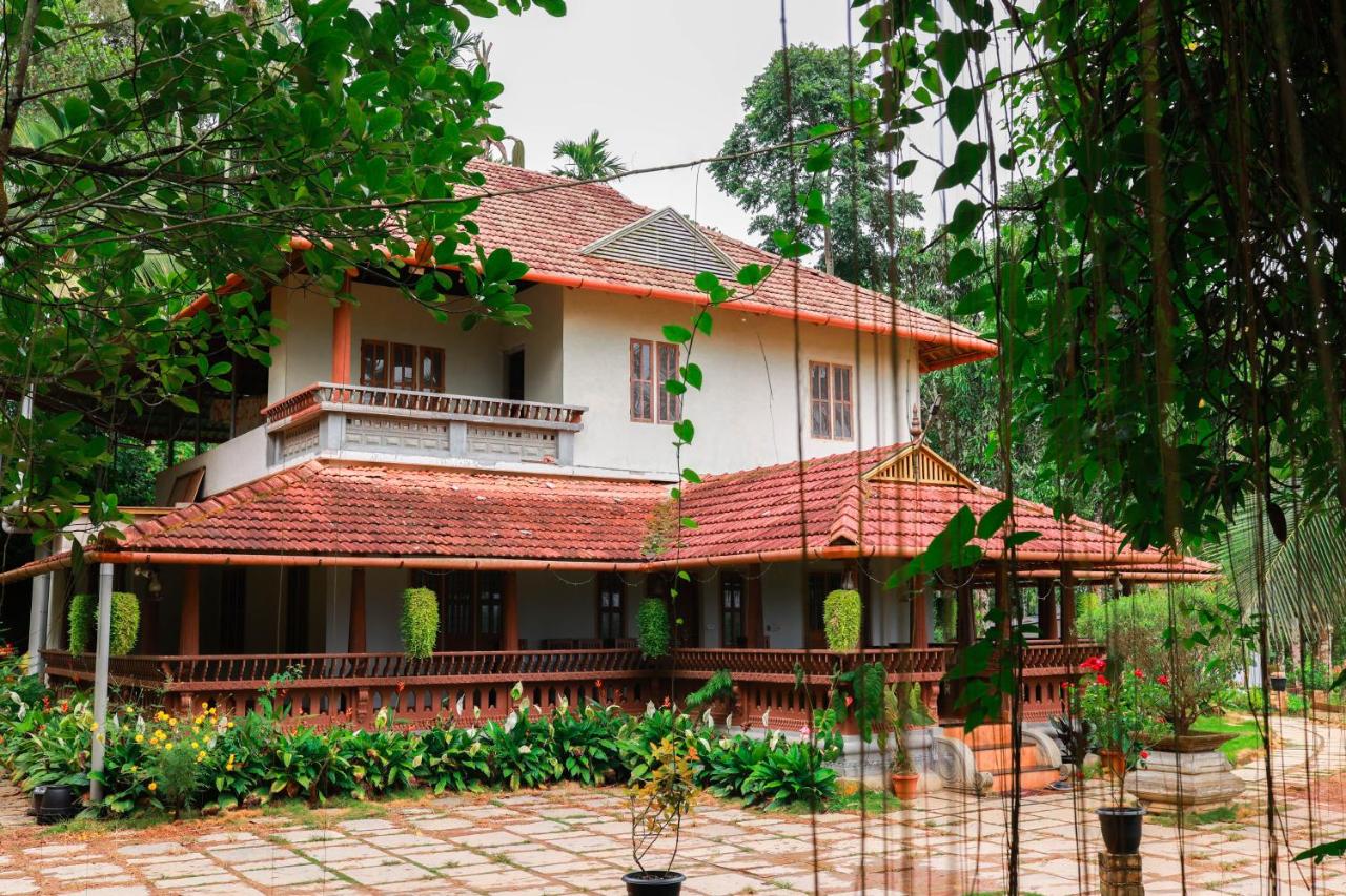 B&B Panamaram - Wayal Wayanad Farm Resort - Bed and Breakfast Panamaram